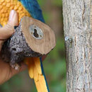Tucano Resina  estátua de jardim, escultura em pé de animal realista, ornamentos de árvore, estatueta de pássaro de resina tou