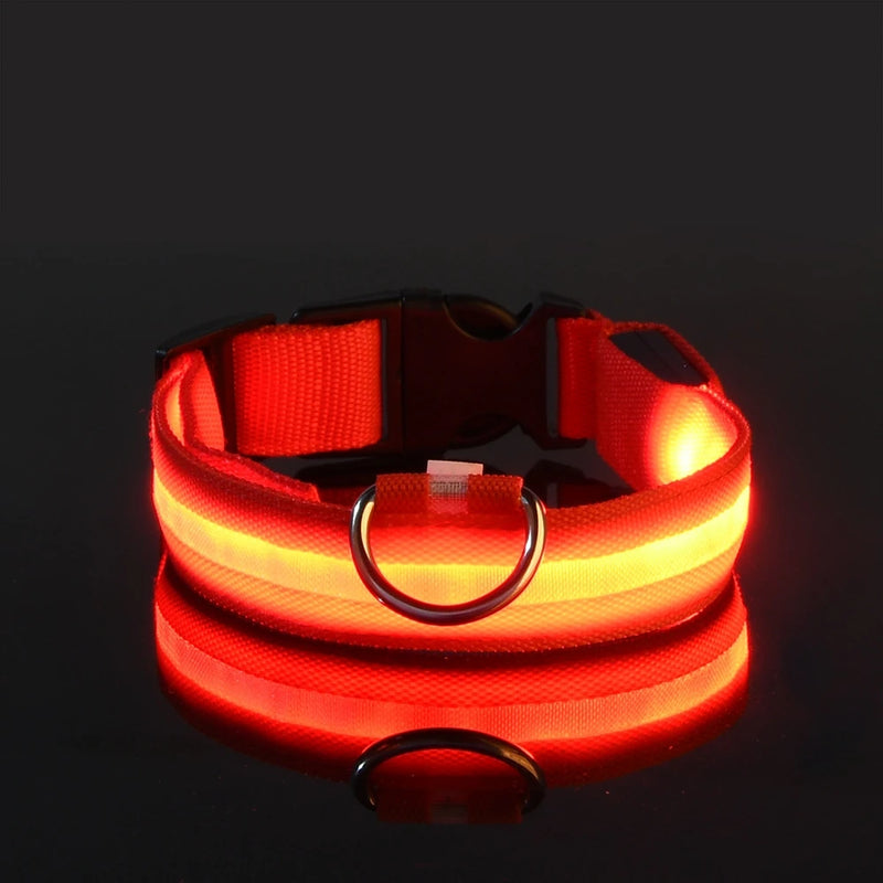 Coleira e Guia LED para Cães – Segurança e Visibilidade Noturna