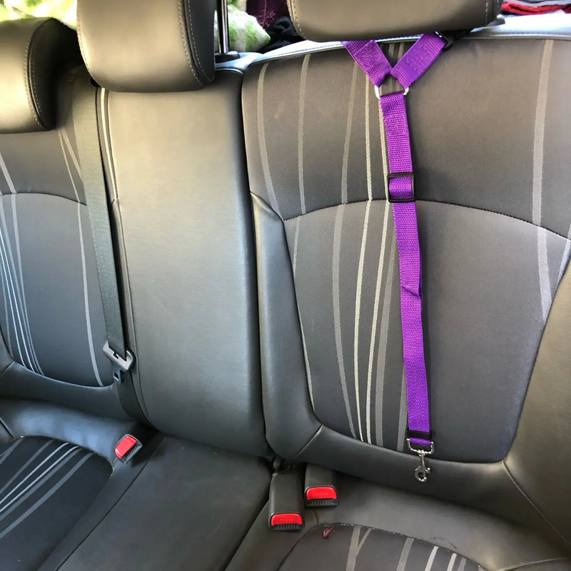 Cinto de Segurança e Guia 2 em 1 para Pets – Segurança e Conforto em Viagens