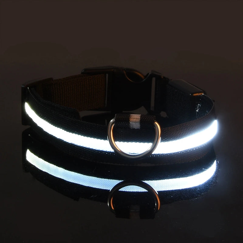 Coleira e Guia LED para Cães – Segurança e Visibilidade Noturna