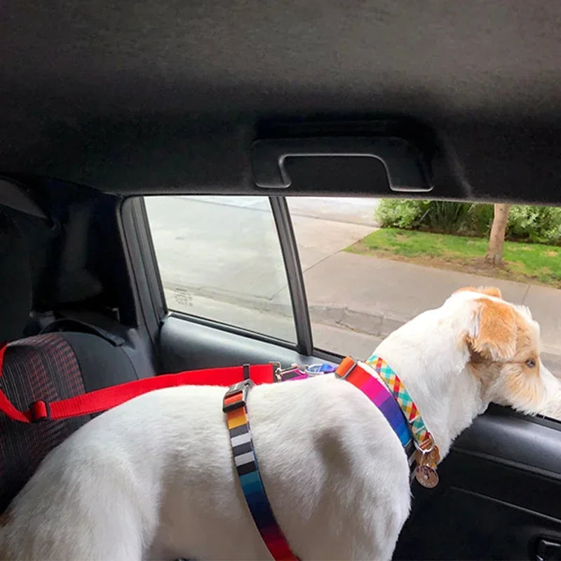 Cinto de Segurança e Guia 2 em 1 para Pets – Segurança e Conforto em Viagens