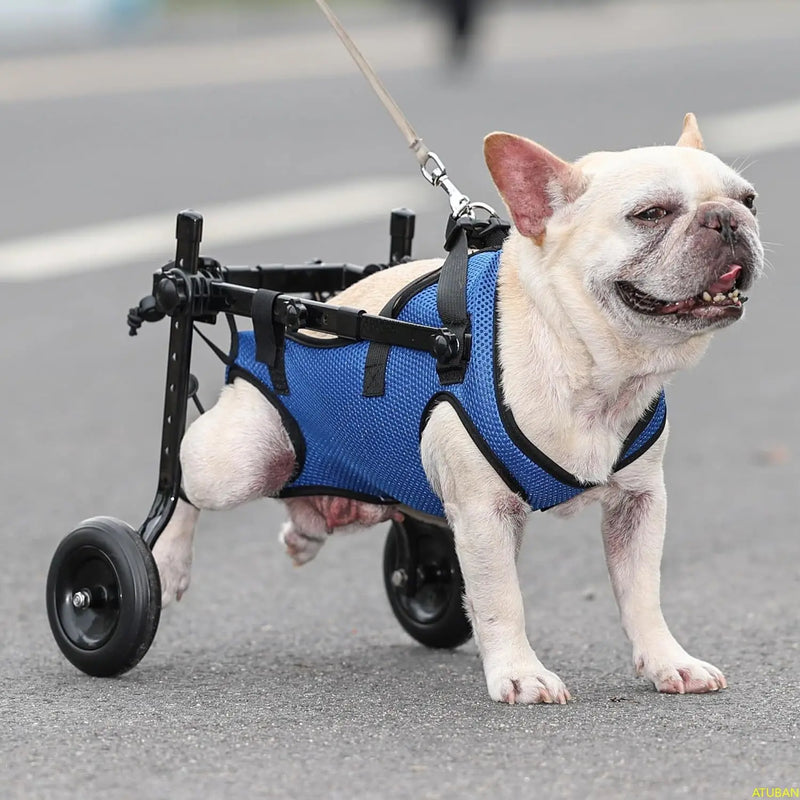 Cadeira de rodas para cães pequenos, cadeiras de rodas ajustáveis para cães, auxiliares de mobilidade para animais de estimação com deficiência, adequada para animais de estimação com peso de 3.75 - 9kg