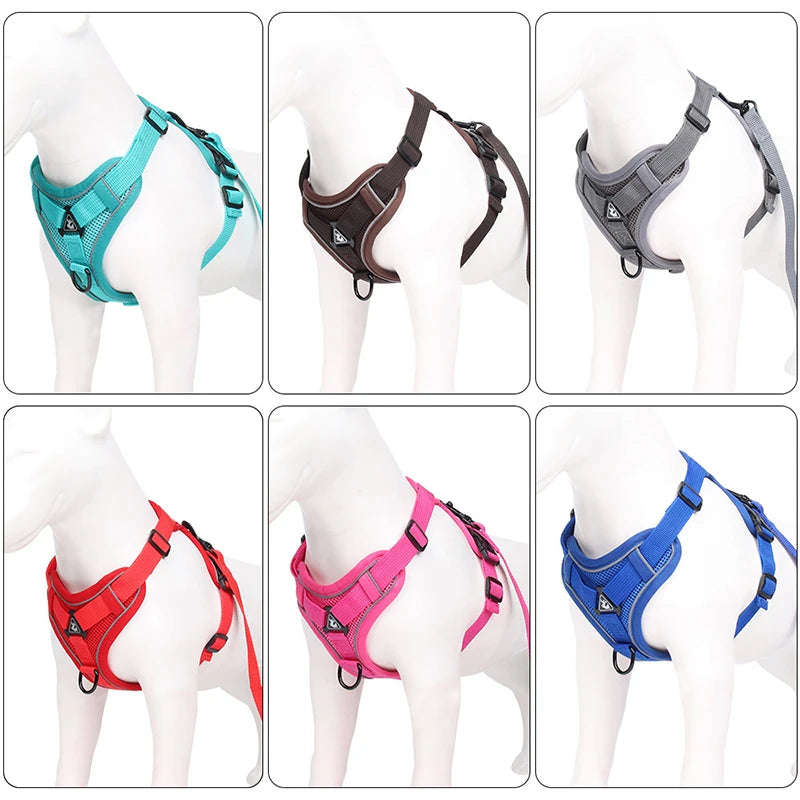 Conjunto de coleira ajustável para cães, cães pequenos / médios, gatos