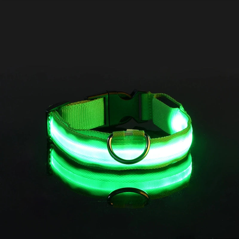 Coleira e Guia LED para Cães – Segurança e Visibilidade Noturna