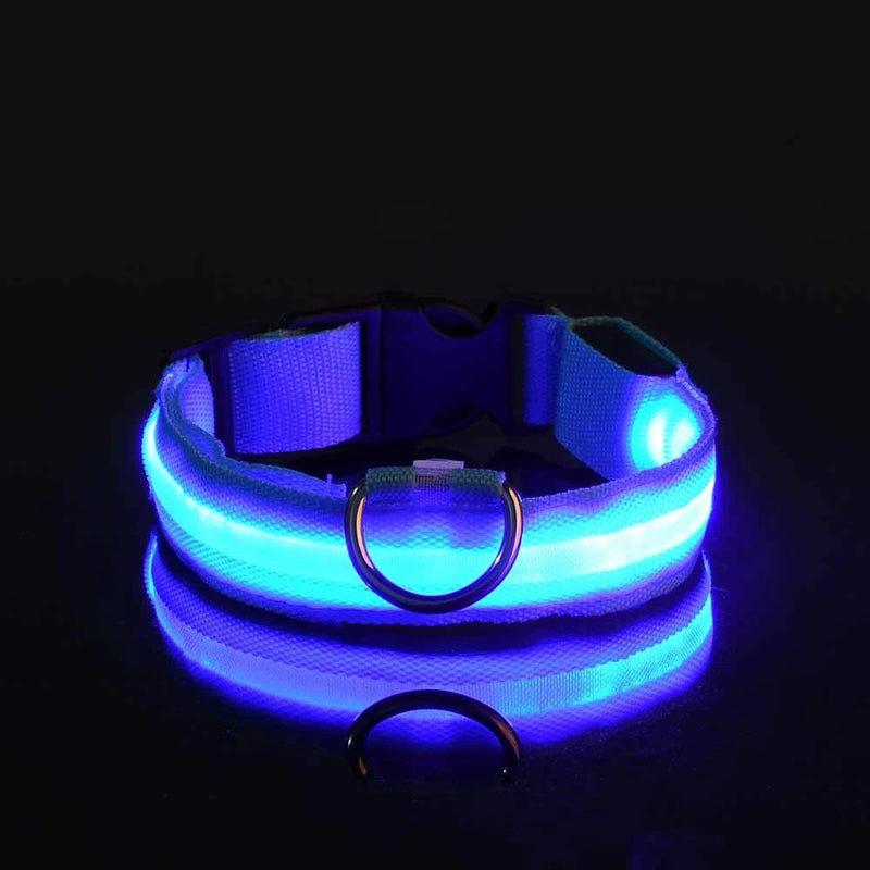 Coleira e Guia LED para Cães – Segurança e Visibilidade Noturna