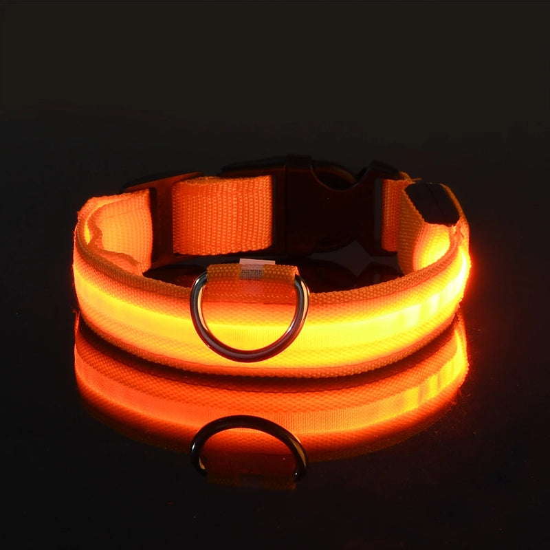 Coleira e Guia LED para Cães – Segurança e Visibilidade Noturna