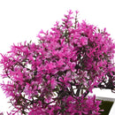 Árvore pequena artificial, bonsai, decoração, planta, flores, ornamentos