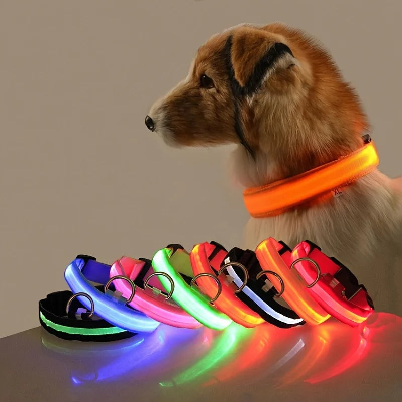 Coleira e Guia LED para Cães – Segurança e Visibilidade Noturna
