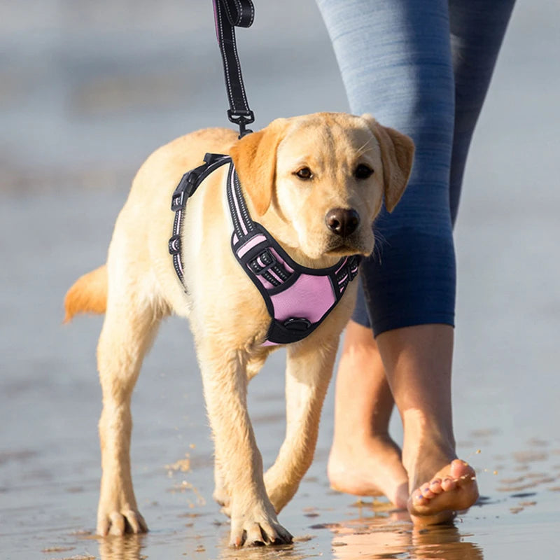 Coleira para cães de segurança, ajustável, coleira de treinamento para cães, esporte ao ar livre, sem puxar, colete, itens para animais de estimação