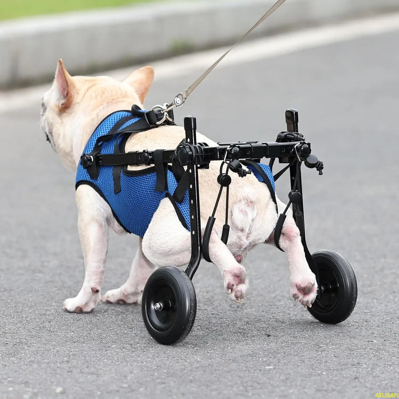 Cadeira de rodas para cães pequenos, cadeiras de rodas ajustáveis para cães, auxiliares de mobilidade para animais de estimação com deficiência, adequada para animais de estimação com peso de 3.75 - 9kg