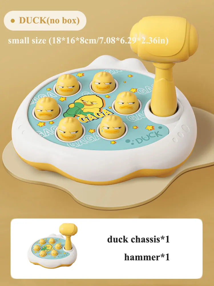 49162686791848
