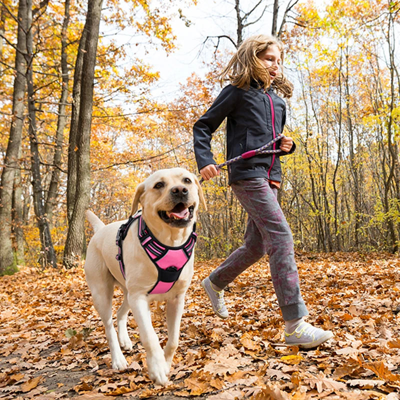 Coleira para cães de segurança, ajustável, coleira de treinamento para cães, esporte ao ar livre, sem puxar, colete, itens para animais de estimação