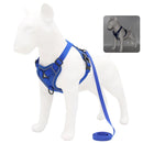 48565455618216|48565455683752|48565455716520|48565455749288