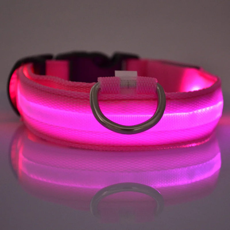 Coleira e Guia LED para Cães – Segurança e Visibilidade Noturna