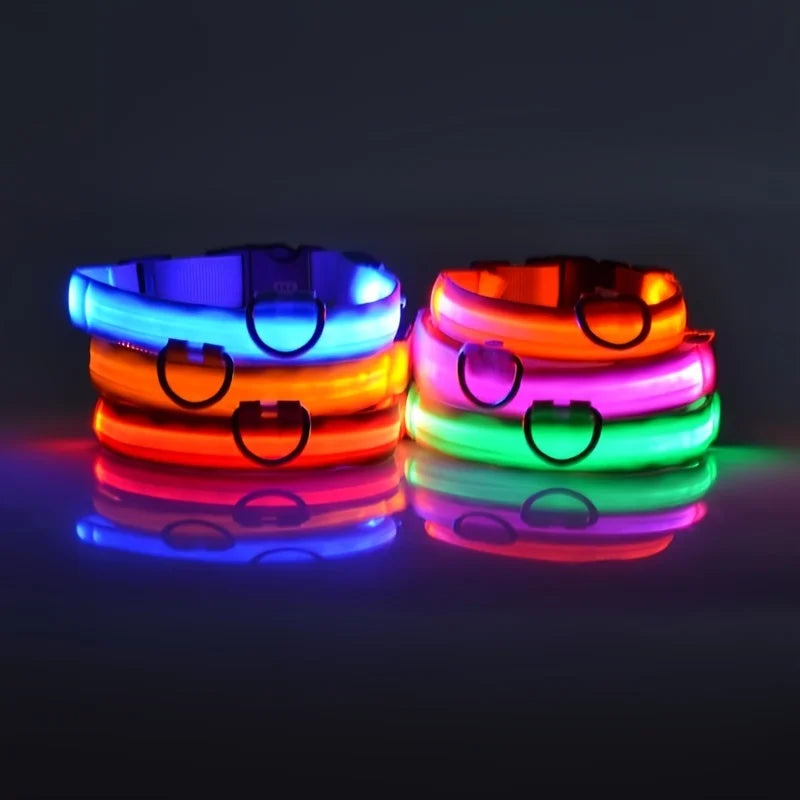 Coleira e Guia LED para Cães – Segurança e Visibilidade Noturna