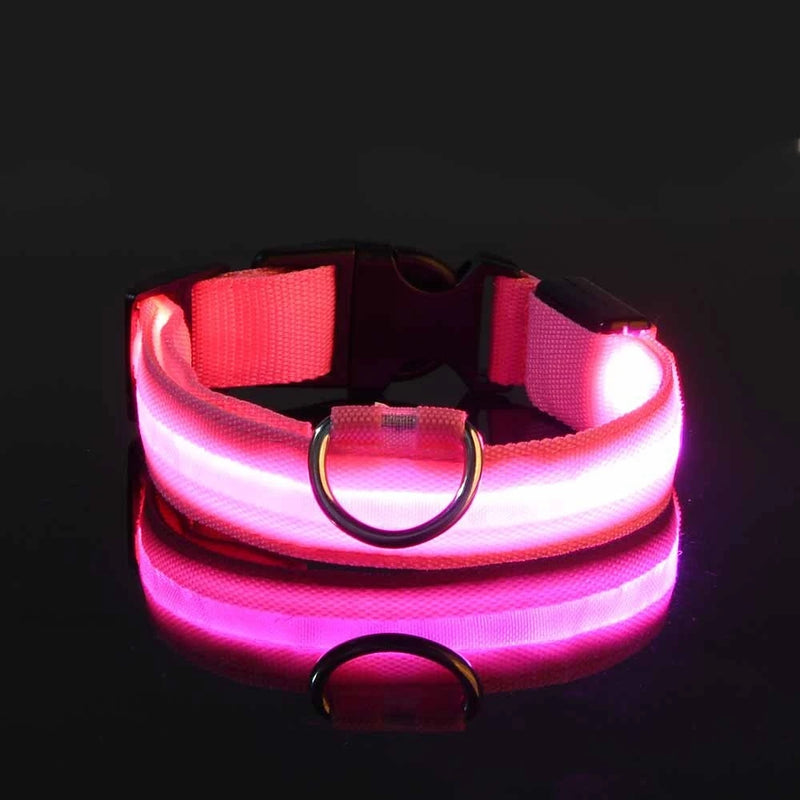 Coleira e Guia LED para Cães – Segurança e Visibilidade Noturna