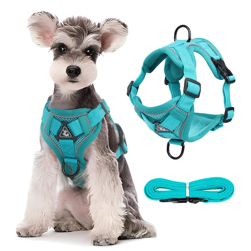 Conjunto de coleira ajustável para cães, cães pequenos / médios, gatos