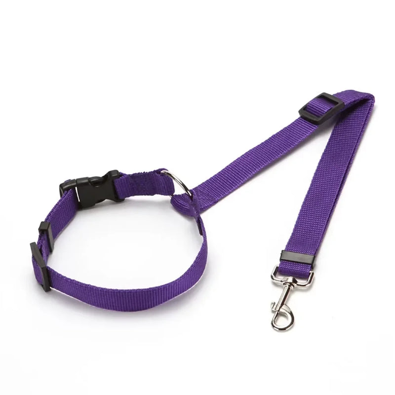 Cinto de Segurança e Guia 2 em 1 para Pets – Segurança e Conforto em Viagens