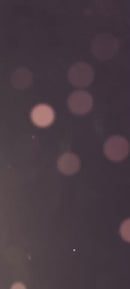 Ração Dogmil Prime Filhotes